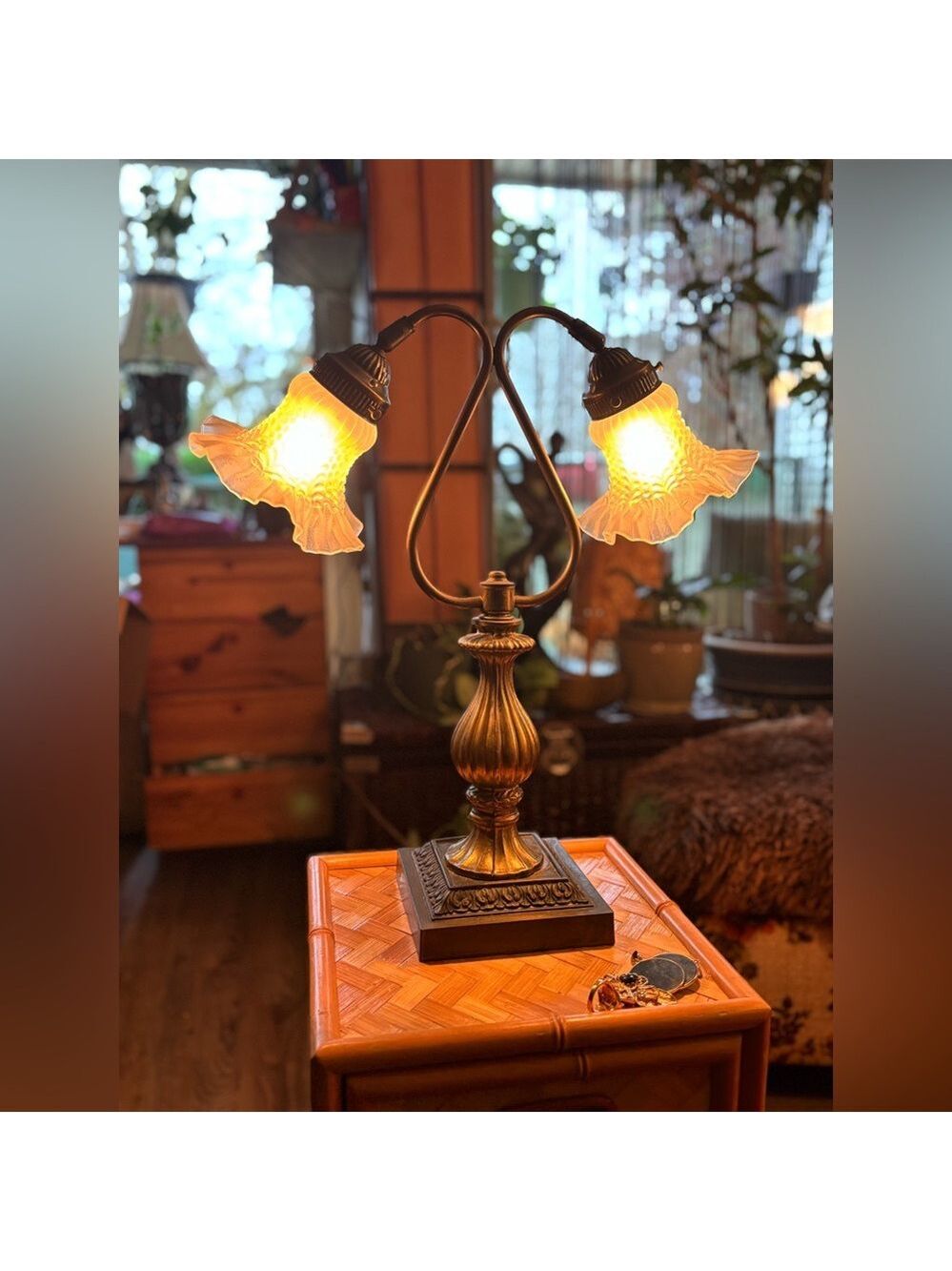 Vintage Dual Light Floral Glass Table Lamp Brass Base Cottagecore Romantic Glow